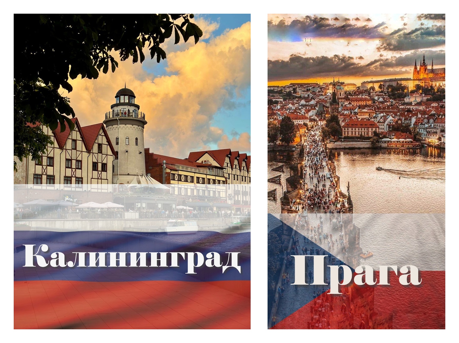 kolarz kalinigrad praga